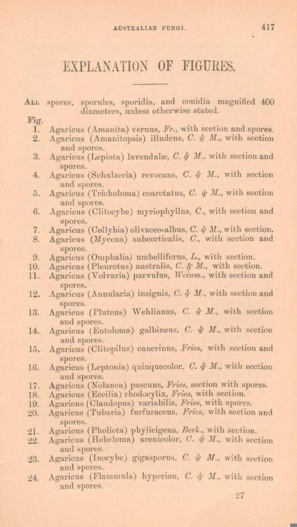 wapiti3: Handbook of Australian fungi By Cooke, M. C. (Mordecai Cubitt), 1825- Publication info Lond