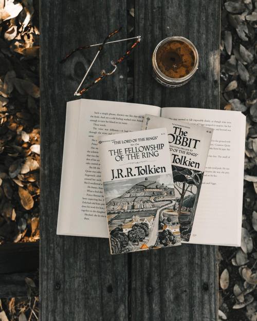 thelampa: lo.reads