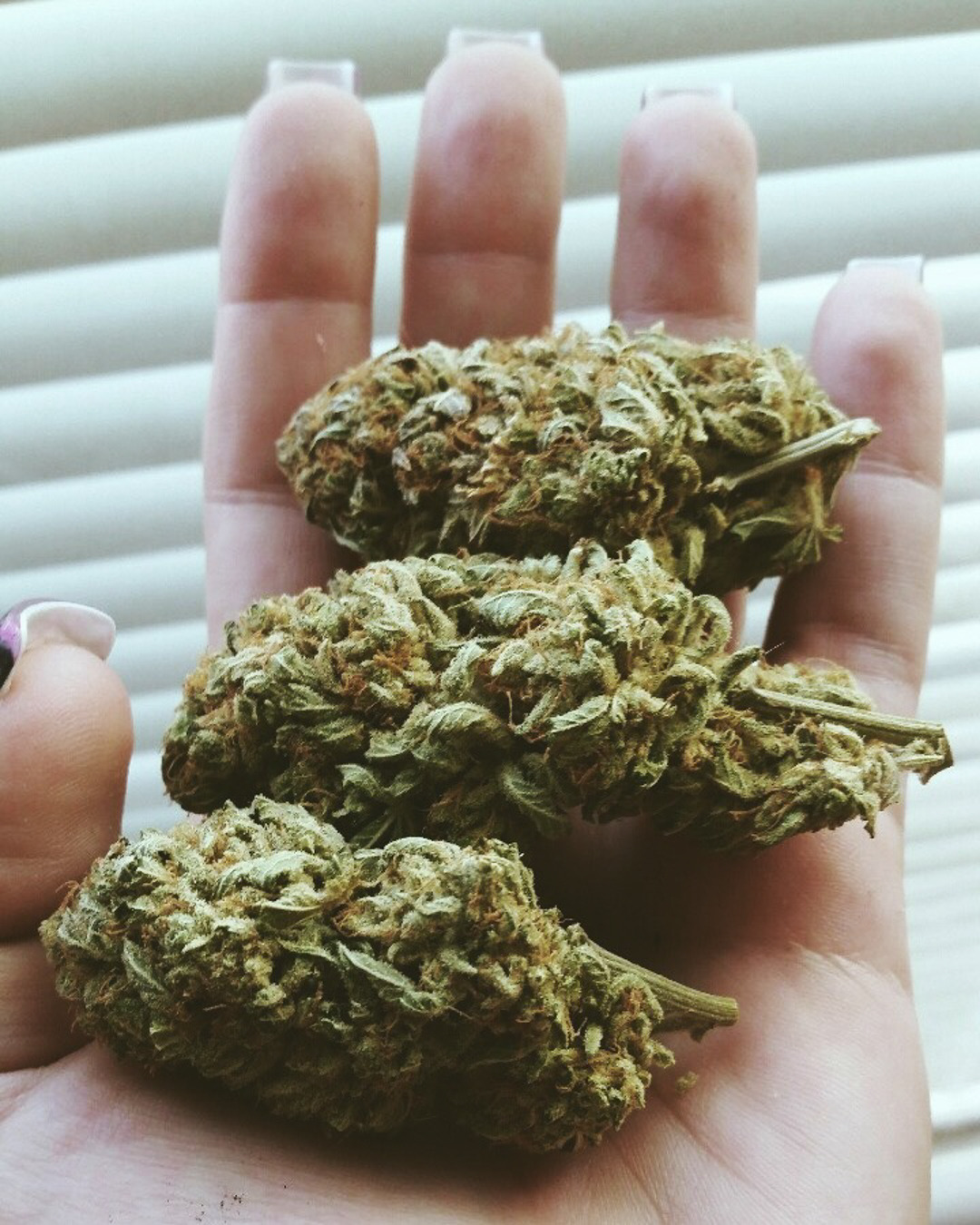 roll-it-smoke-it:  ✌️ VISIT OUR DANK SHOP 🌳  