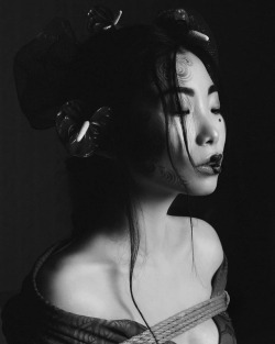 https://64.media.tumblr.com/0734205dafec2a1f213fbb40a0cedd7f/tumblr_p9n77edjFc1vvqv7xo1_500.jpg