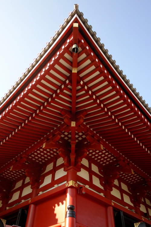 gezzaseyes:  Asakusa 