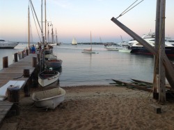boatshopnancy: Tosen on the dock Sunday evening.