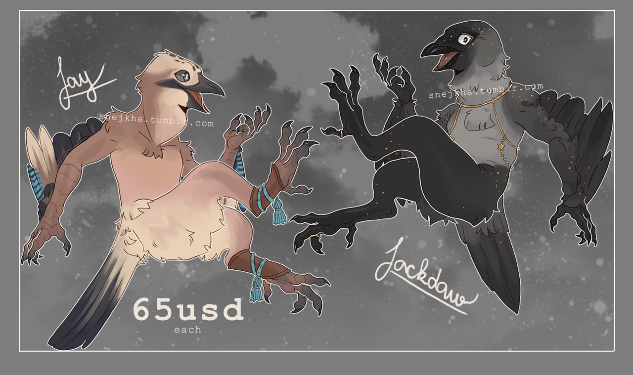 Kenku adopts based off of different corvids are now up//If you would be interested in buying them send me a message at snejkhacom@gmail.com, Payment is going to be via a Paypal invoice (you will have to send me your paypal email and all)  I will update the availability// Jay - SOLD Jackdaw - SOLDHooded Crow - SOLD Bluejay -SOLDAlbino Raven -SOLDMagpie - SOLD All sold// Thank you so much// #my dumb art #adopts#adoptables#adoptable#adopt#kenku#anthro#dnd adopt#dnd