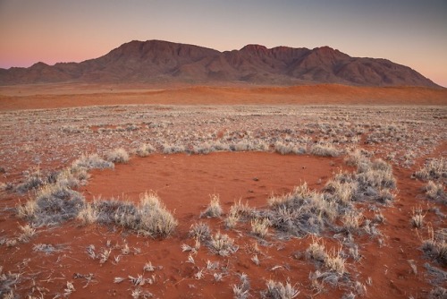 A mathematician uses math and ecology to try to solve the mystery of the Namibian fairy circles.&nbs