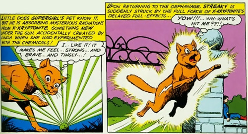 wondrousyears:Today in HistorySupergirl adopts Streaky who will soon become Super-Cat.(from Action C