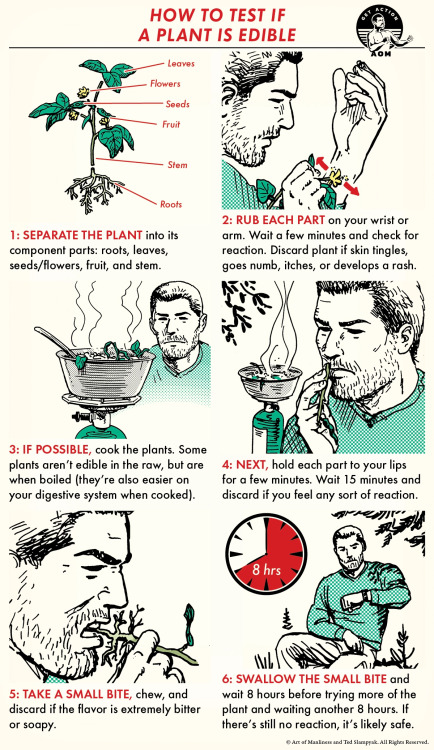 nevver:FYI : How to Test if a Plant Is Edible