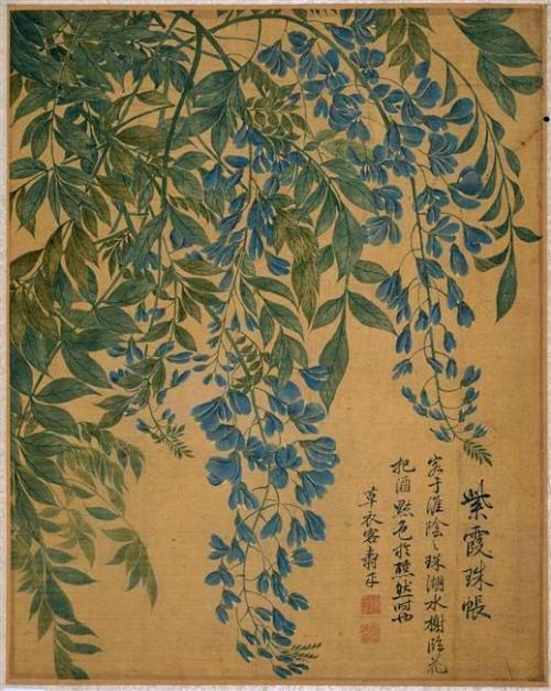 nobrashfestivity:Shouping Yun, From an album of flowersPhoto © MNAAG, Paris, Dist. RMN-Grand Palais 
