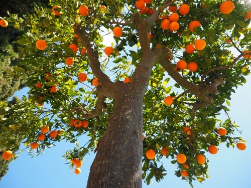 Summer Is In The Air