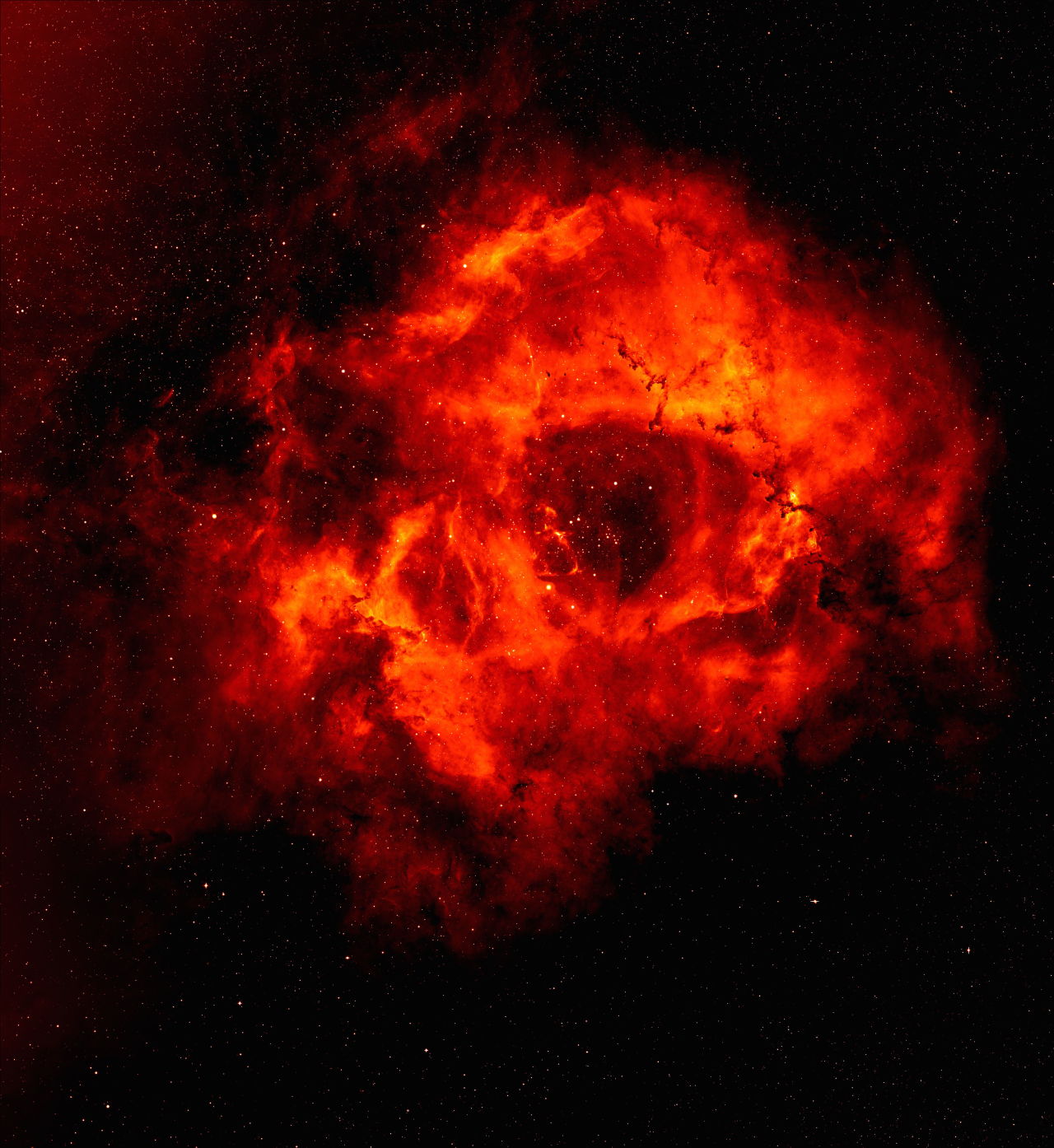astronomicalwonders:  The Skull like Rosette Nebula - NGC 2237This massive nebula,