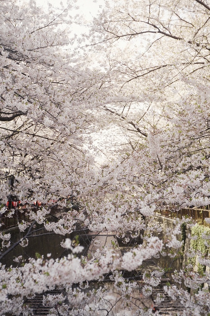 r2&ndash;d2:  by (moS.nap) 