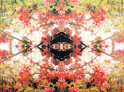 SIRKKU KETOLAMANDALA I, 2008, Serigrafia