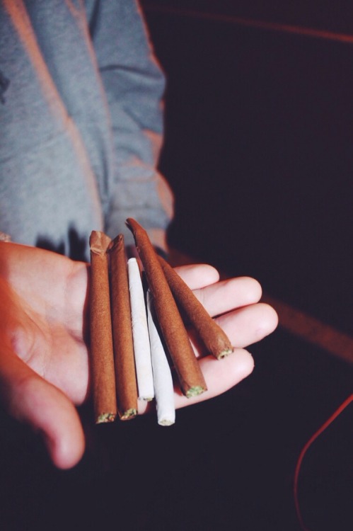 tumblr photo your-life-starts-with18 0