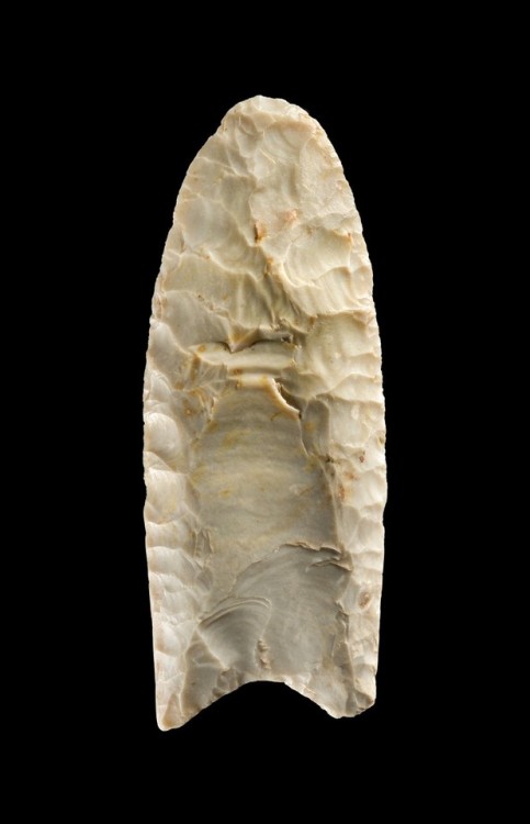  A 6.3cm-long Clovis point found in Pike County (Illinois).  It is 13,000 years old. Each side of th