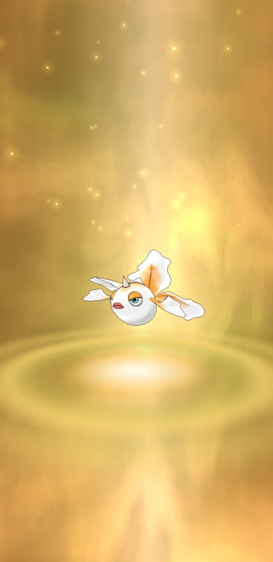 Shiny Goldeen Tumblr Posts Tumbral Com Shiny Goldeen Tumblr Posts Tumbral Com