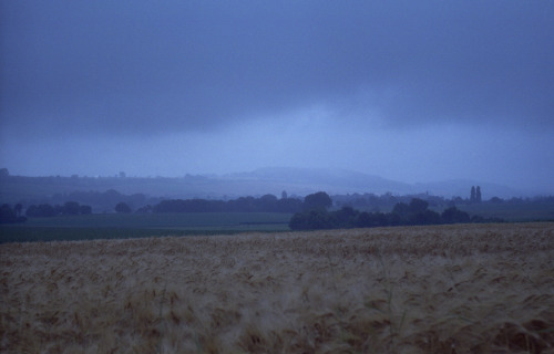 Limburg, Netherlands | July 2021 | Zenit 12XP on Fuji Superia 200