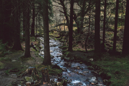 ovunquesei-iosonoaltrove:  expressions-of-nature:  Glendalough, Ireland by Tin Nguyen  X