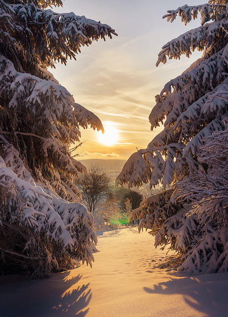 tulipnight: untouched powder dream by Lixposure on Flickr. 