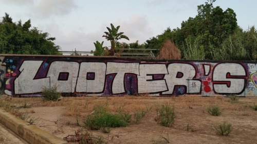 Hurricane Harvey: 5 reasons looting is essential for survivalGraffiti seen in Valencia, Spain 2017