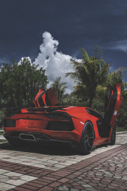 themanliness:      Vorsteiner Aventador by