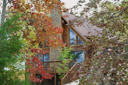 Bufflehead Cabin in an Autumn Some Years Ago