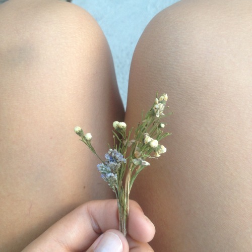 flowinguniverse:Tiny flowers