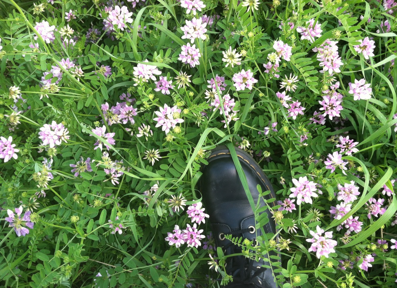 neurowall:  babyamputea:  neurowall:  in the flowers  jealous   don’t be jealous,
