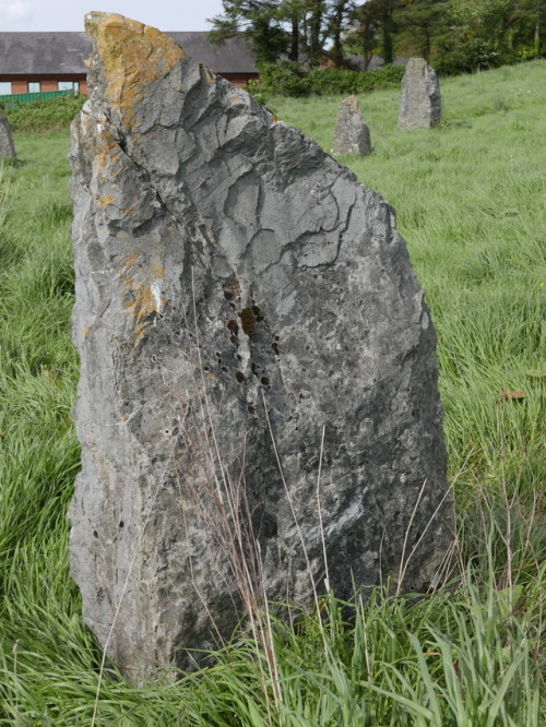 Llangefni Eisteddfod Stone Circle, Anglesey, North Wales, 13.5.17. A modern stone circle that is now