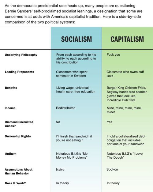 Socialism vs Capitalism - The Onion porn pictures