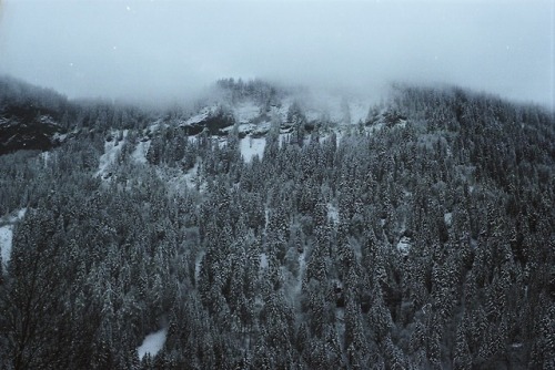 untidysouls:it is quiet in the Alps.35mm film