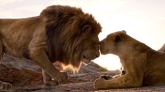 Take Me There to Disneyland — Review: The Lion King (2019) [spoilers]