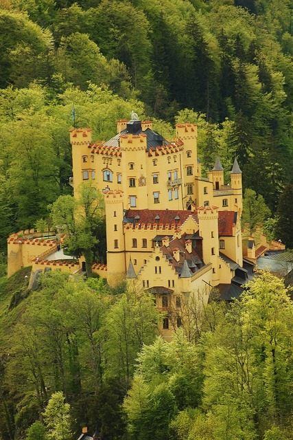 bonitavista: Hohenschwangau Castle, Bavaria, Germany   photo via shelle   