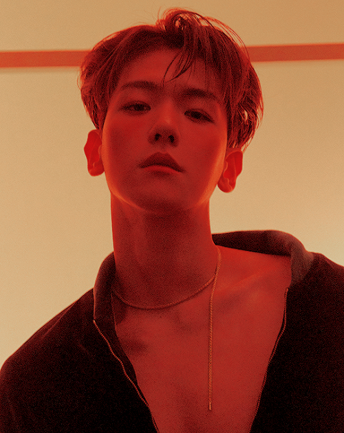 dailyweareoneexo:BAEKHYUN ◇ ‘Delight’ Teaser Images #1