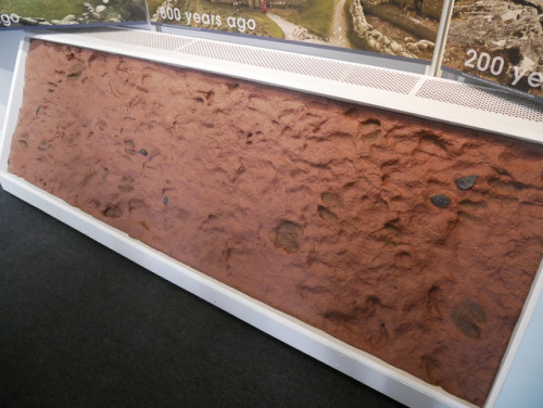 Shaugh Moor Bronze Age Track Way Cast, Dartmoor National Visitor Centre, 27.12.17.This cast was take