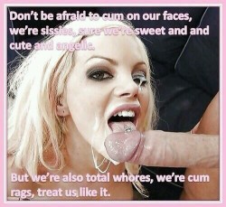 sissy-stable:  Are we Sissies total cum rags