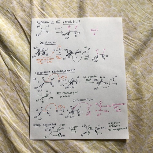 cyclicstudies: Organic Chemistry: Electrophilic Additions to Alkenes Hey all! I wanted to put togeth