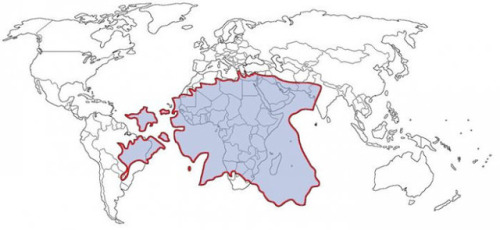 bracarvs:thunder-stuck:People sometime forget how big Estonia really is.Finally someone points it ou