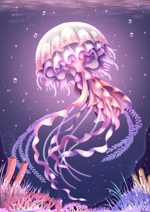 Jellyfish