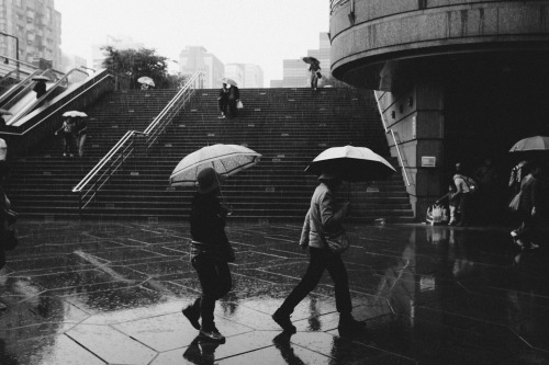 Hope your start of the week isn’t rainy :) Download free photo: bit.ly/1PO41yCwww.getre