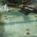 kaijuno:Top 10 bodies of water I want to drown in1. 2.3.4.5.6.7.8.9.10.