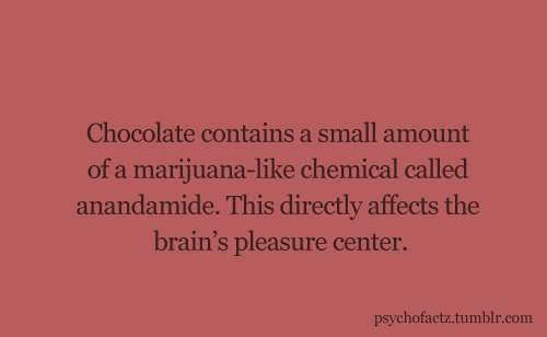 psychofactz:  More Facts on Psychofacts :) 