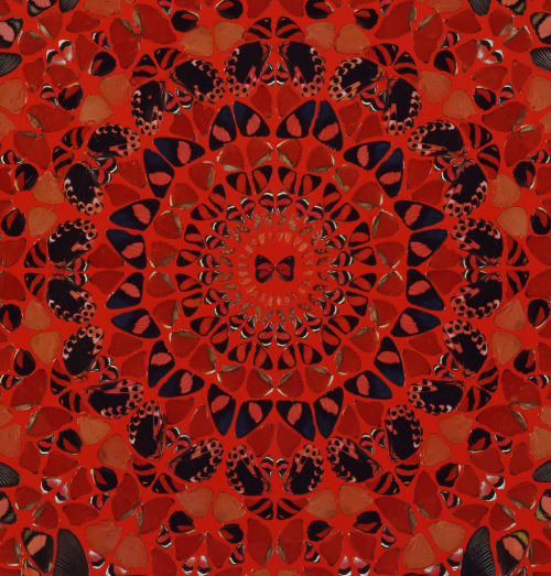 Damien Hirst Revelation.  2007. Butterflies and gloss on canvas.