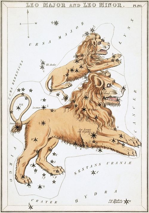 rosepetalbath:Fire sign constellations in Urania’s Mirror (1824) the only signs that matter