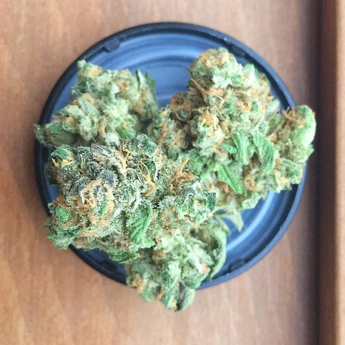 kush4kae:  Blue Dream. 