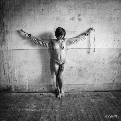 acordesetacris:  Just a bird ?Model : https://www.instagram.com/elisabethand_shibari/R&P skapal Photography©   