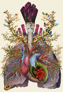 Bestof-Society6:   Art Prints By Bedelgeuse Adore Anatomical Heart Lungs Grow Anatomical More
