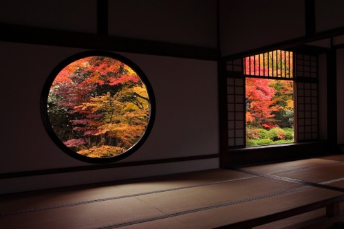 npr:wanokokoro-japan:Genko-an Temple (Kyoto,JAPAN)Summer/Fall/WinterBeautiful seasonal time travel. 