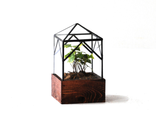 sosuperawesome:Terrariums Lead Head Glass on Etsy