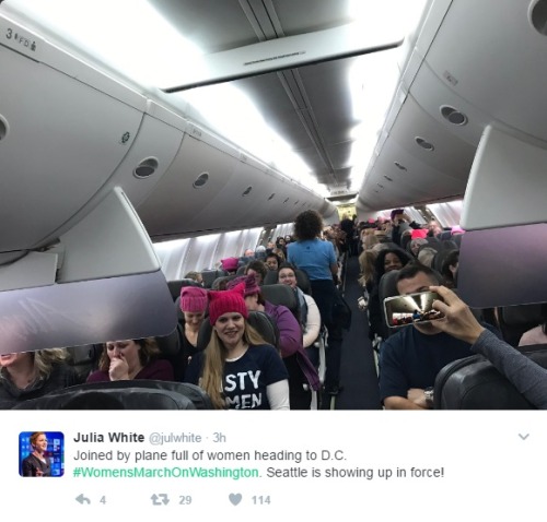 anti-capitalistlesbianwitch: Flights Packed With Women’s March Participants Are Cheering All T