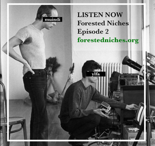 The second episode of the Forested Niches podcast is full of facts and informative anecdotes about trees. Ylfa geeked out on this one, so I’ve cast her as David Byrne instead of Bowie this time aroud. I’m still playing the Brian Eno supporting her...