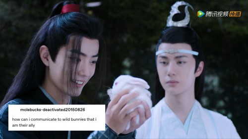 chaoticbiwuxian:The Untamed + text posts part 3